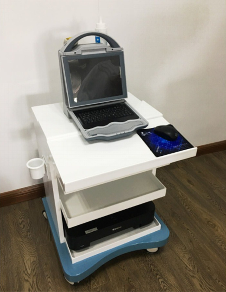 Portable Ultrasound Bone Densitometer