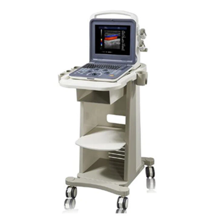 4D/3D Notebook Gynecology Ultrasound