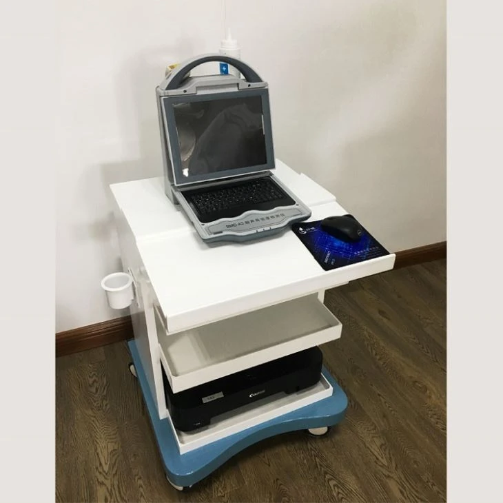 Portable Ultrasound Bone Densitometer